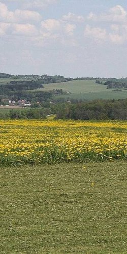 2012 Svojek mirek sobota
